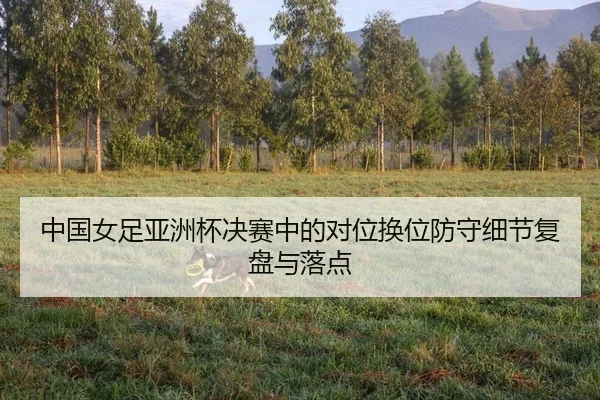 zhong-guo-nv-zu-ya-zhou-bei-jue-sai-zhong-de-dui-wei-huan-wei-fang-shou-xi-jie-fu-pan-yu-luo-dian-2-409.jpg